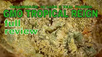 GMO TROPICAL REIGN | Organigram, 4C Labs, & Xeal Pharma | FULL REVIEW