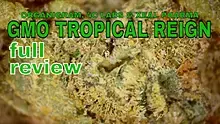 Smacksalad Video Thumbnail
