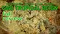 Video Thumbnail: Smacksalad