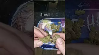 Pharmaserv - Northern lights | UK Medical