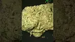 4C Labs - Donkey butter T36,this ones lovely,really sedating for me,can taste the gas on this aswell