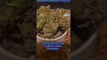 Stu Pot Video Thumbnail