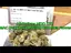 Video Thumbnail: MCUK