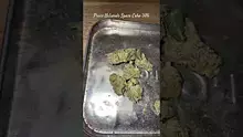 LoudConnoisseur Video Thumbnail