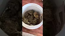 420Medical Video Thumbnail