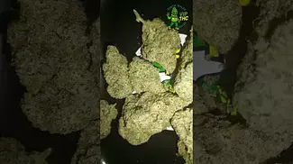 Plantations Ceres MAK T25 Mango K, another sweet fruity one,with a nice hazey fuel smell
