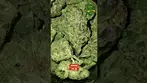 Upstate Mellowz - Brand New - UK Medical Flower -  FIRST LOOK 