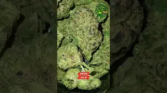 Upstate Mellowz - Brand New - UK Medical Flower -  FIRST LOOK 