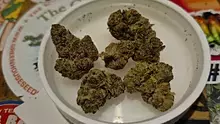 Keep Blazing Stay Amazing Video Thumbnail
