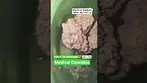 Pave S1 by Green Karat #cannabiscommunity #medical #medicalcannabis #medicalweed #medicalreview