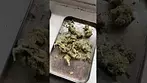 Tyson 2.0 Haymaker Haze T28% review #ukmedicalcannabis #medicalcannabis