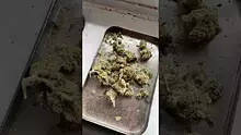 LoudConnoisseur Video Thumbnail