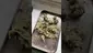 Video Thumbnail: LoudConnoisseur
