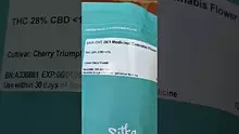 DumbYout Video Thumbnail