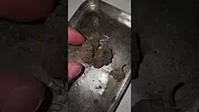 LoudConnoisseur Video Thumbnail