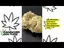 Video Thumbnail: Cannabis Culture 