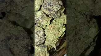 Vasco Blueberry Banana - Review in description #ukmedicalcannabis #ukmedicalcannabispatient #shorts