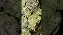 HighThoughts Low Focus Video Thumbnail
