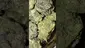 Video Thumbnail: HighThoughts Low Focus