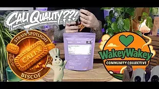 Biscof by Cali-X | Cali Quality in the UK?  | Strain Spotlight