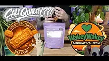 Wakey Wakey Video Thumbnail