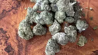 Lemon Cherry Gelato (Lot420 AAAA) UK Medical Review | One of the Best LCGs