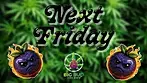 Blueberry Fuego by Next Friday T24 : Medical Cannabis Review 