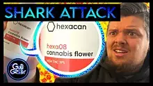 God in the Grass Video Thumbnail
