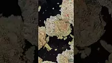 AzztecMedia Video Thumbnail