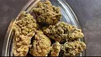 4c Labs T21 Moby Dick REVIEW