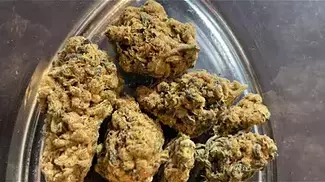 4c Labs T21 Moby Dick REVIEW