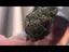 Video Thumbnail: EdTalks420