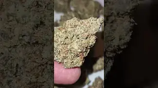 Glueberry by CannFX