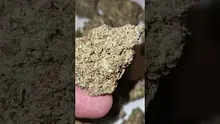 2cavjav Video Thumbnail