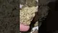 Video Thumbnail: 2cavjav