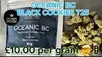 OCEANIC BC T25 Black Cookies