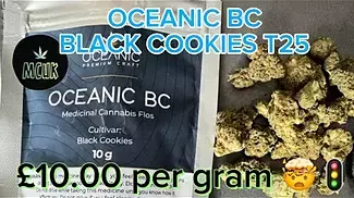 OCEANIC BC T25 Black Cookies