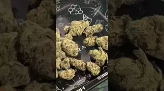 Vasco - Grape Gasoline | Medical Cannabis First Look 