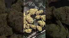 Smokie McGreen Video Thumbnail