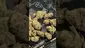 Video Thumbnail: Smokie McGreen