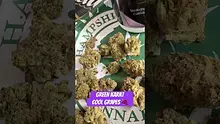 Smokie McGreen Video Thumbnail