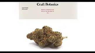 Craft Botanics T25 GLD Gelonade - budcraft and aesthetics