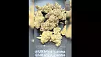 Craft Botanics  White Runtz (WRZ) 28 THC