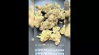 Craft Botanics  White Runtz (WRZ) 28 THC