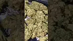 TILRAY WARLOCK V2 ( UK PRESCRIPTION MEDICATION)