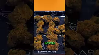 Aurora Pedanios MBE T10:C13 Moon Berry Medical Flower