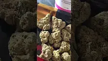 Professor T Video Thumbnail