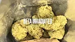 4C Labs Core ZKF T26 Zkittlez Fuel Medical - Strain Reviews #41 