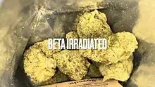 BabyzBudz Video Thumbnail