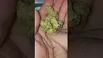 BIG NARSTIE MEDICAL: MORROCAN PEACHES REVIEW